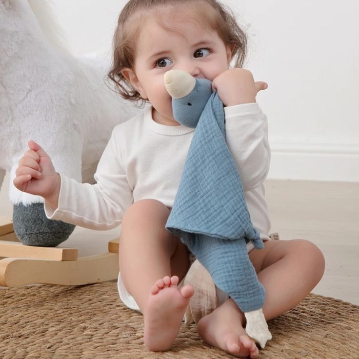 Doudou-oie-amusant