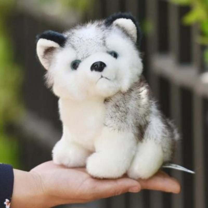 Peluche-Chien-Husky-ouillet