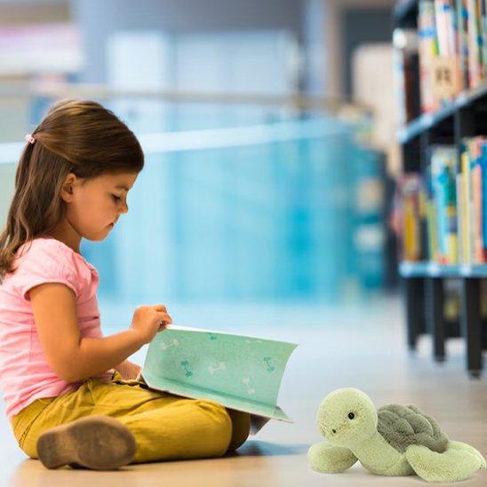 Tortue en peluche 35 cm